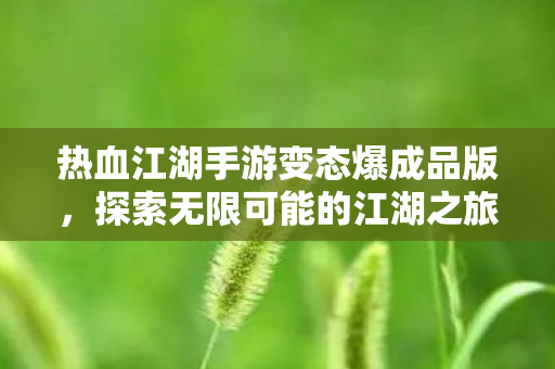 热血江湖手游变态爆成品版，探索无限可能的江湖之旅，热血江湖手游变态版，探索无限可能的江湖之旅