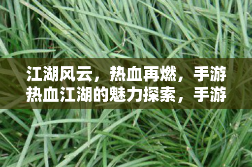 江湖风云,热血再燃,手游热血江湖的魅力探索,手游热血江湖魅力探索,江湖风云,热血再燃 江湖风云,热血再燃,手游热血江湖的魅力探索,手游热血江湖魅力探索,江湖风云,热血再燃