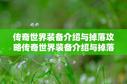 传奇世界装备介绍与掉落攻略传奇世界装备介绍与掉落图片