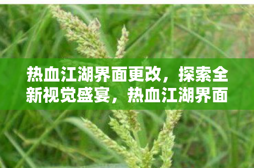 热血江湖界面更改,探索全新视觉盛宴,热血江湖界面焕新,开启视觉盛宴探索 热血江湖界面更改,探索全新视觉盛宴,热血江湖界面焕新,开启视觉盛宴探索