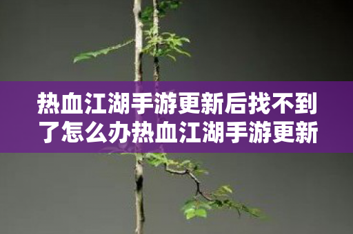 热血江湖手游更新后找不到了怎么办热血江湖手游更新后找不到了,探索官方更新与玩家社区的反应,热血江湖手游更新后消失之谜,官方更新与玩家社区的反应 热血江湖手游更新后找不到了怎么办热血江湖手游更新后找不到了,探索官方更新与玩家社区的反应,热血江湖手游更新后消失之谜,官方更新与玩家社区的反应