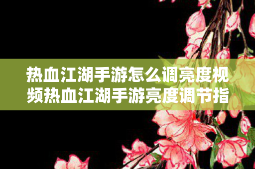 热血江湖手游怎么调亮度视频热血江湖手游亮度调节指南，热血江湖手游亮度调节指南，轻松调整游戏亮度