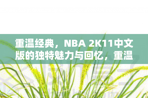 NBA 2K11中文版的独特魅力与回忆图片