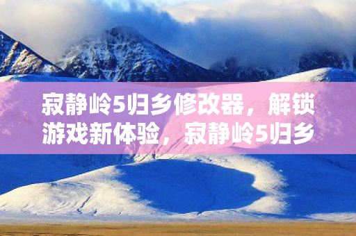 寂静岭5归乡修改器图片