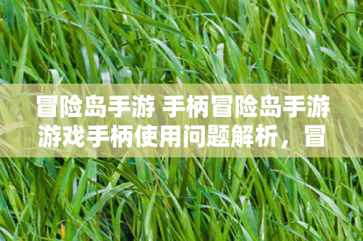 冒险岛手游 手柄冒险岛手游游戏手柄使用问题解析图片