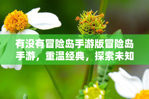 有没有冒险岛手游版冒险岛手游图片
