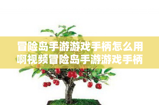 冒险岛手游游戏手柄怎么用啊视频冒险岛手游游戏手柄使用指南图片