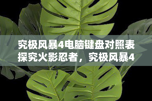 究极风暴4电脑键盘对照表探究火影忍者,究极风暴4的无限可能,火影忍者究极风暴4,电脑键盘对照表解锁无限可能 究极风暴4电脑键盘对照表探究火影忍者,究极风暴4的无限可能,火影忍者究极风暴4,电脑键盘对照表解锁无限可能