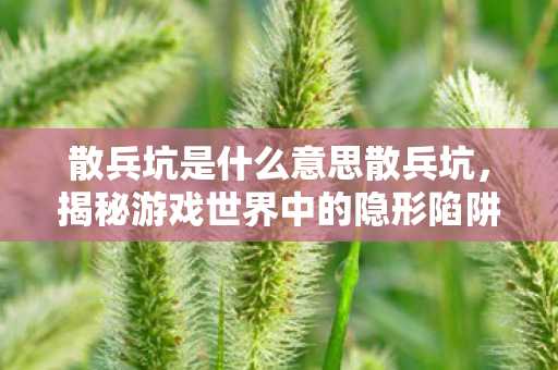 散兵坑是什么意思散兵坑，揭秘游戏世界中的隐形陷阱，揭秘游戏世界中的隐形陷阱，散兵坑含义解析
