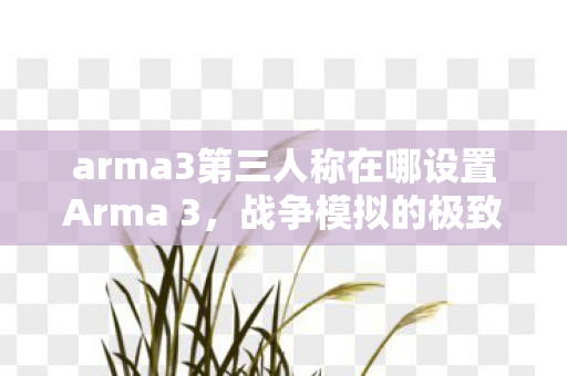 arma3第三人称在哪设置Arma 3,战争模拟的极致体验,Arma 3,如何设置第三人称模式 arma3第三人称在哪设置Arma 3,战争模拟的极致体验,Arma 3,如何设置第三人称模式