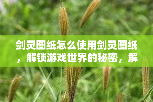 剑灵图纸怎么使用剑灵图纸图片