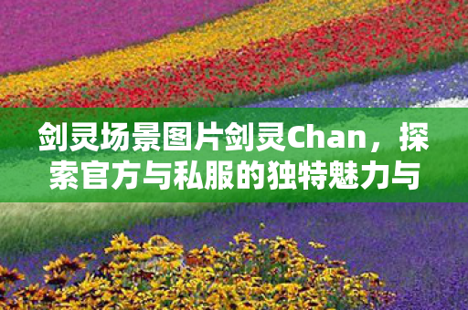 探索官方与私服的独特魅力与差异图片