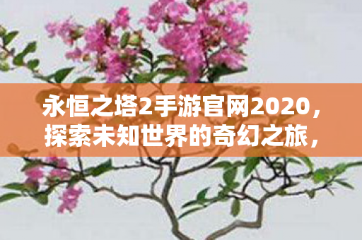 永恒之塔2手游官网2020图片