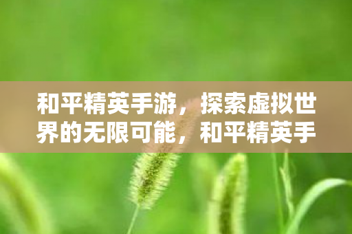 和平精英手游,探索虚拟世界的无限可能,和平精英手游,探索虚拟世界的无限可能 和平精英手游,探索虚拟世界的无限可能,和平精英手游,探索虚拟世界的无限可能