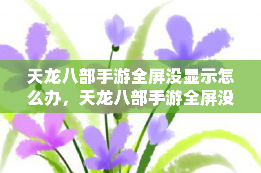 天龙八部手游全屏没显示问题解决方法图片