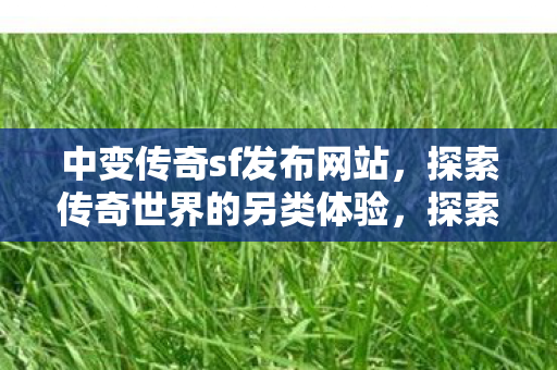 探索传奇世界的另类体验图片