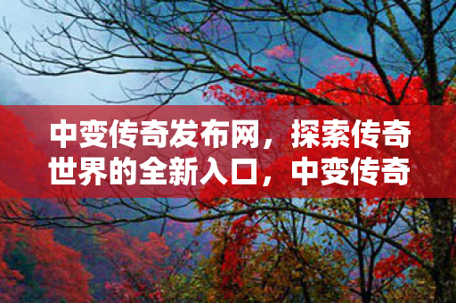 探索传奇世界的全新入口图片