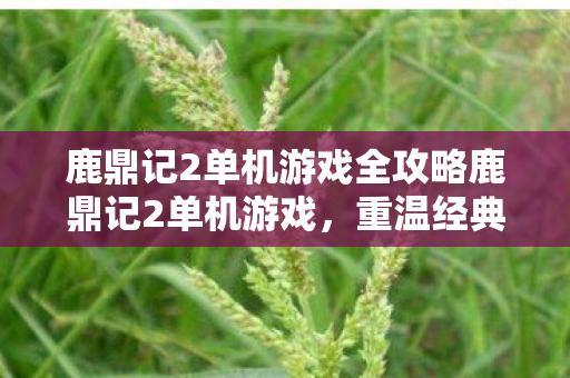 鹿鼎记2单机游戏全攻略鹿鼎记2单机游戏图片