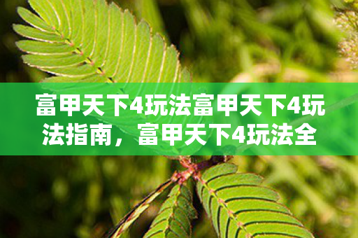富甲天下4玩法富甲天下4玩法指南图片