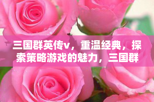 三国群英传V重温经典 策略游戏魅力再探索图片