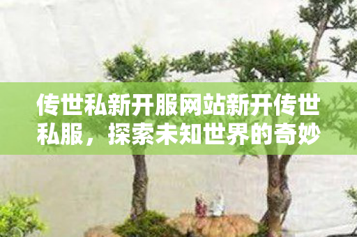 传世私新开服网站新开传世私服图片
