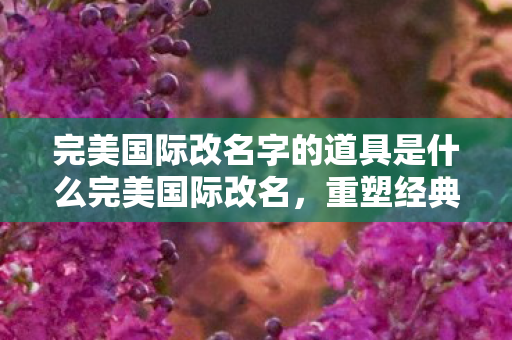 完美国际改名字的道具是什么完美国际改名图片
