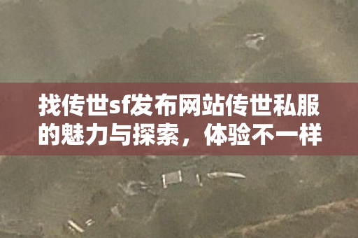 找传世sf发布网站传世私服的魅力与探索图片