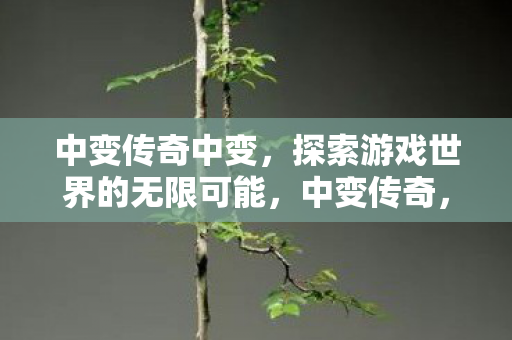 探索游戏世界的无限可能图片
