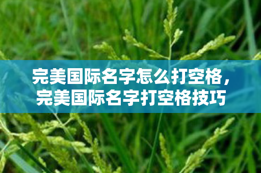 完美国际名字怎么打空格图片