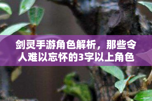 深度剖析剑灵手游中那些令人铭记的角色名字图片