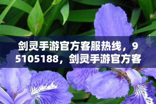 剑灵手游官方客服热线图片