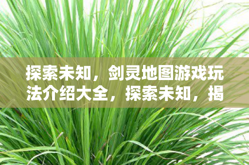 剑灵地图游戏玩法介绍大全图片