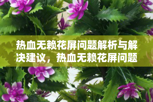热血无赖花屏问题解析与解决建议图片