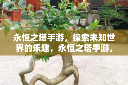 探索未知世界的乐趣图片