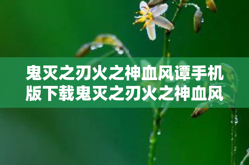 鬼灭之刃火之神血风谭手机版下载鬼灭之刃火之神血风谭，一场视觉与情感的盛宴，鬼灭之刃火之神血风谭，手机下载开启视觉情感盛宴