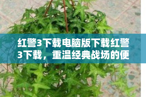 红警3下载电脑版下载红警3下载,重温经典战场的便捷途径,红警3电脑版下载,重温经典战场的便捷途径 红警3下载电脑版下载红警3下载,重温经典战场的便捷途径,红警3电脑版下载,重温经典战场的便捷途径