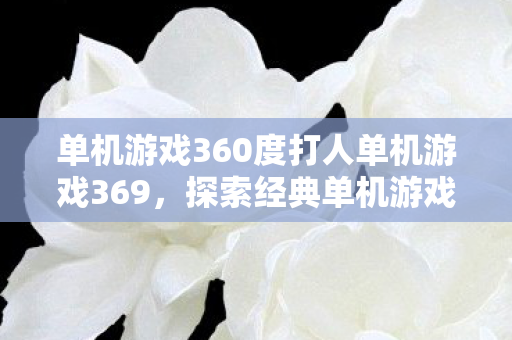 单机游戏360度打人单机游戏369图片