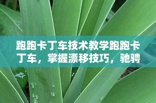 跑跑卡丁车技术教学跑跑卡丁车图片