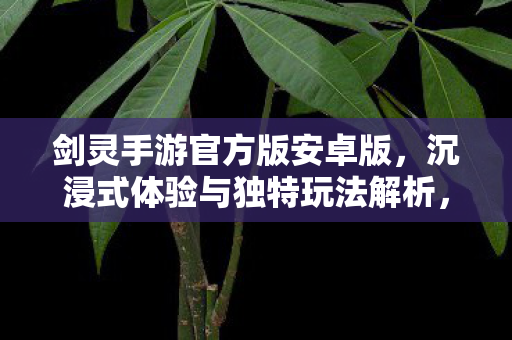 剑灵手游安卓版沉浸式体验与独特玩法全解析图片