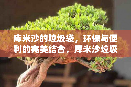 环保与便利的完美结合图片