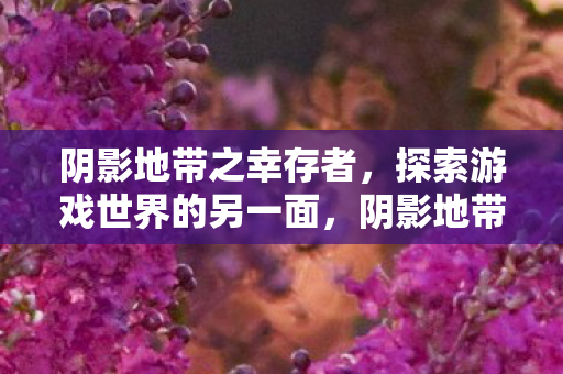 探索游戏世界的另一面图片