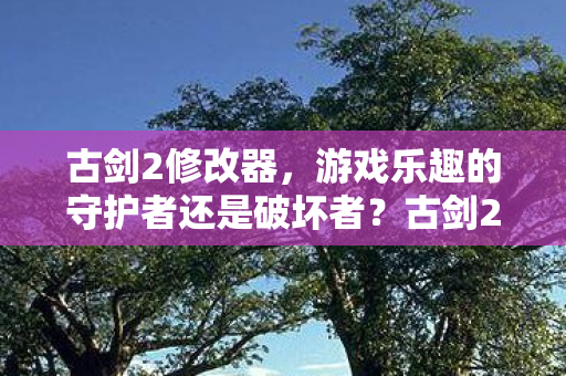 游戏乐趣的守护者还是破坏者图片