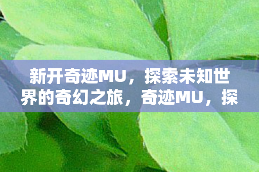新开奇迹MU，探索未知世界的奇幻之旅，奇迹MU，探索未知世界的奇幻之旅