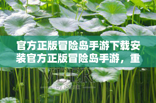 官方正版冒险岛手游下载安装官方正版冒险岛手游图片