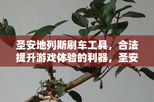 合法提升游戏体验的利器图片