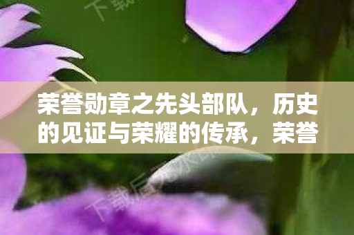 历史的见证与荣耀的传承图片