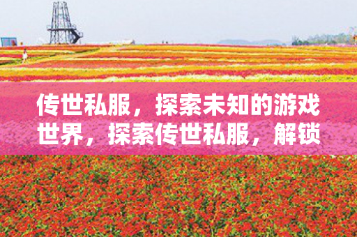 探索未知的游戏世界图片