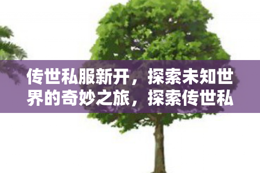 探索传世私服新世界的奇妙之旅图片