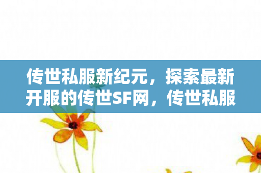 探索最新开服的传世SF网图片
