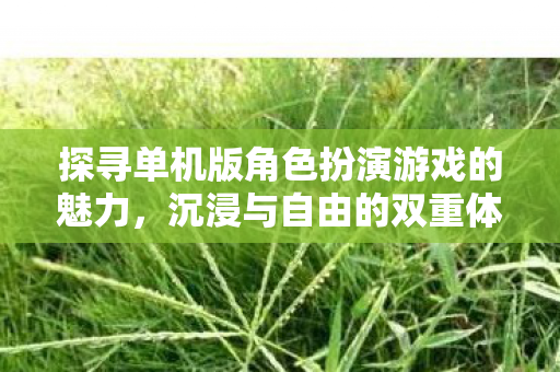 探寻单机版角色扮演游戏的魅力图片